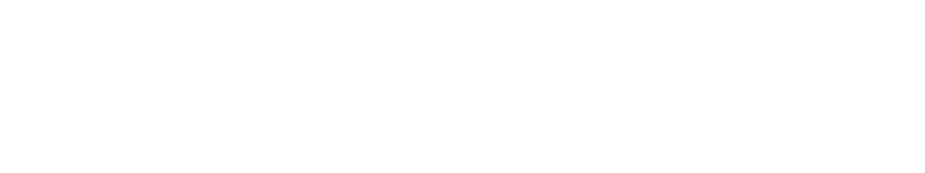 Rail System